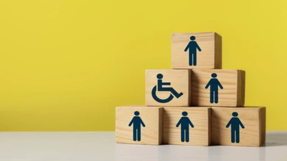 Inclusion