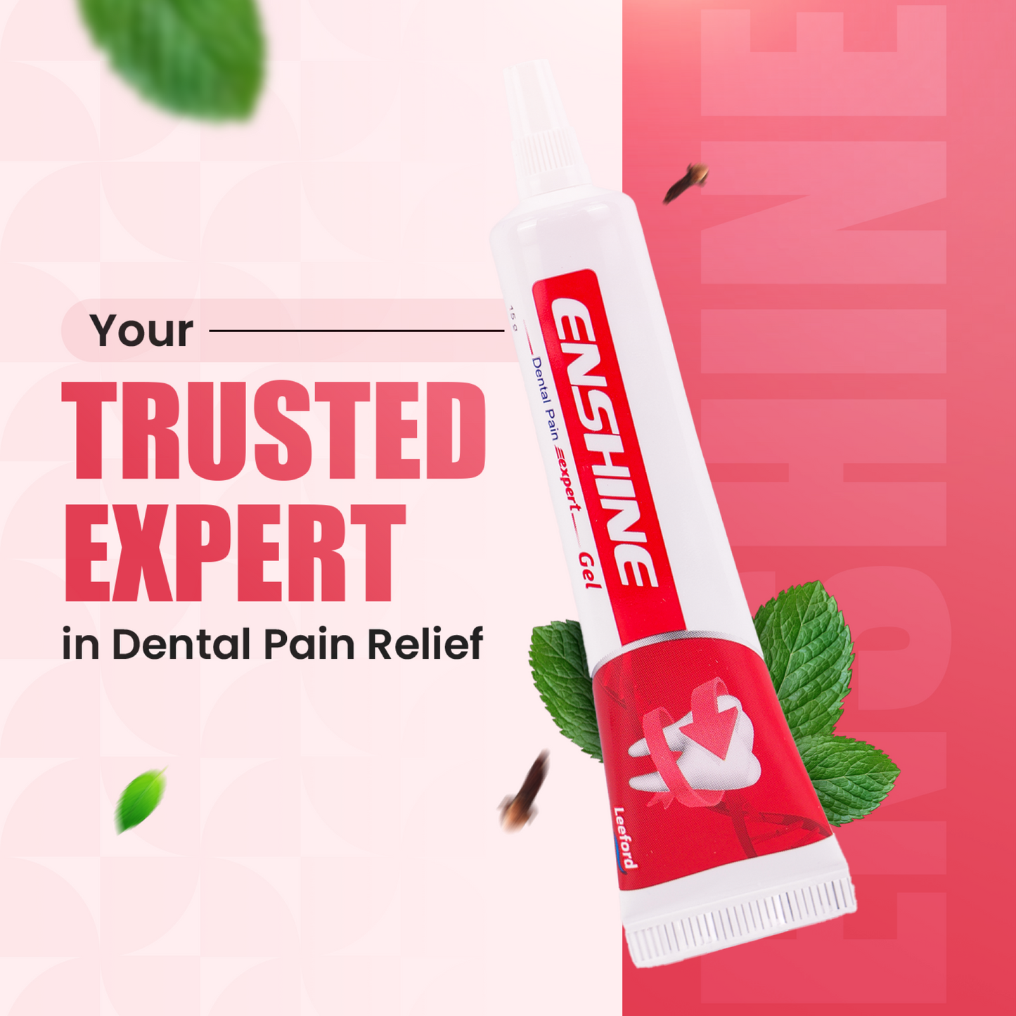 ENSHINE DENTAL PAIN EXPERT GEL 15 GM.