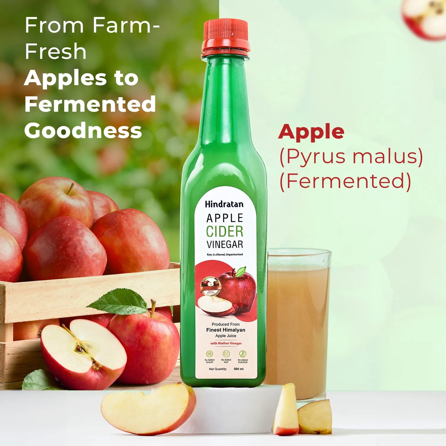 HINDRATAN Apple Cider Vinegar 500 ml