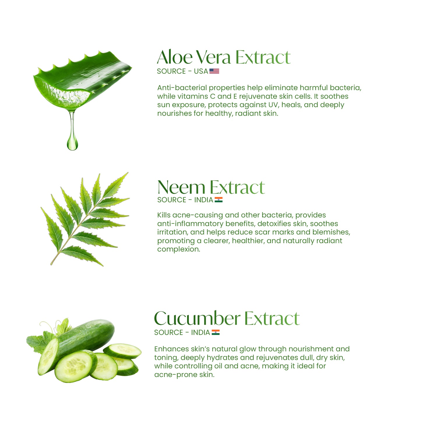 ALITE Neem Scrub