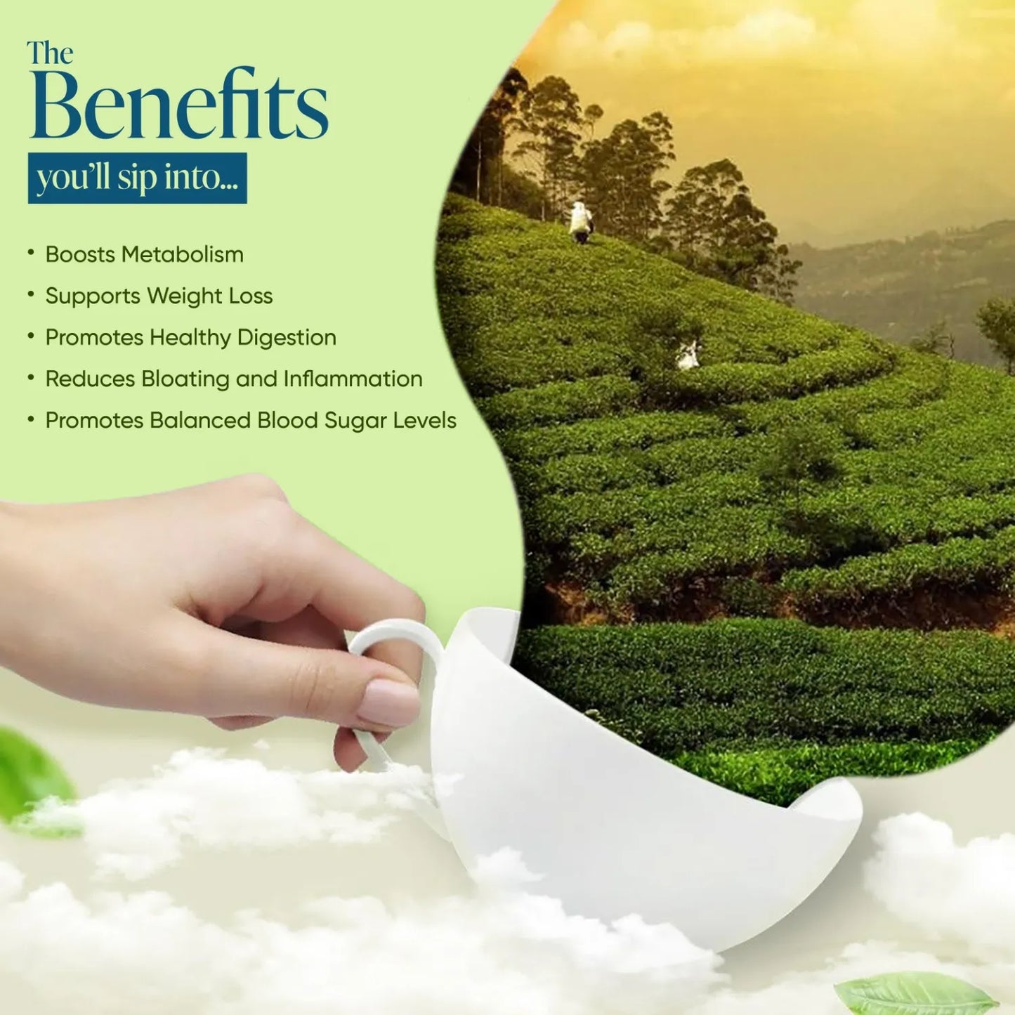 WINTY AQUA SLIM GREEN TEA 30 Bags