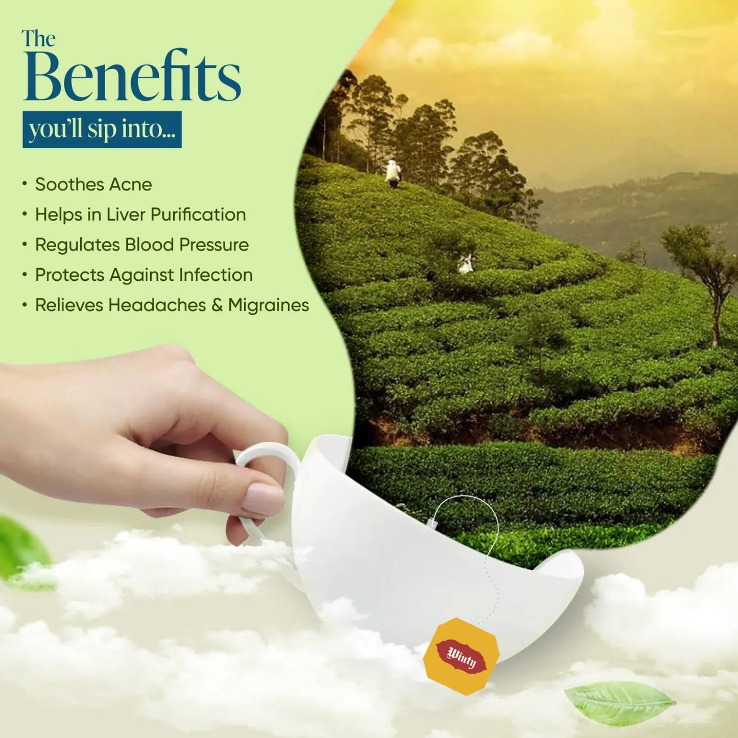 WINTY DETOX DESI KAHWA GREEN TEA 30 Bags