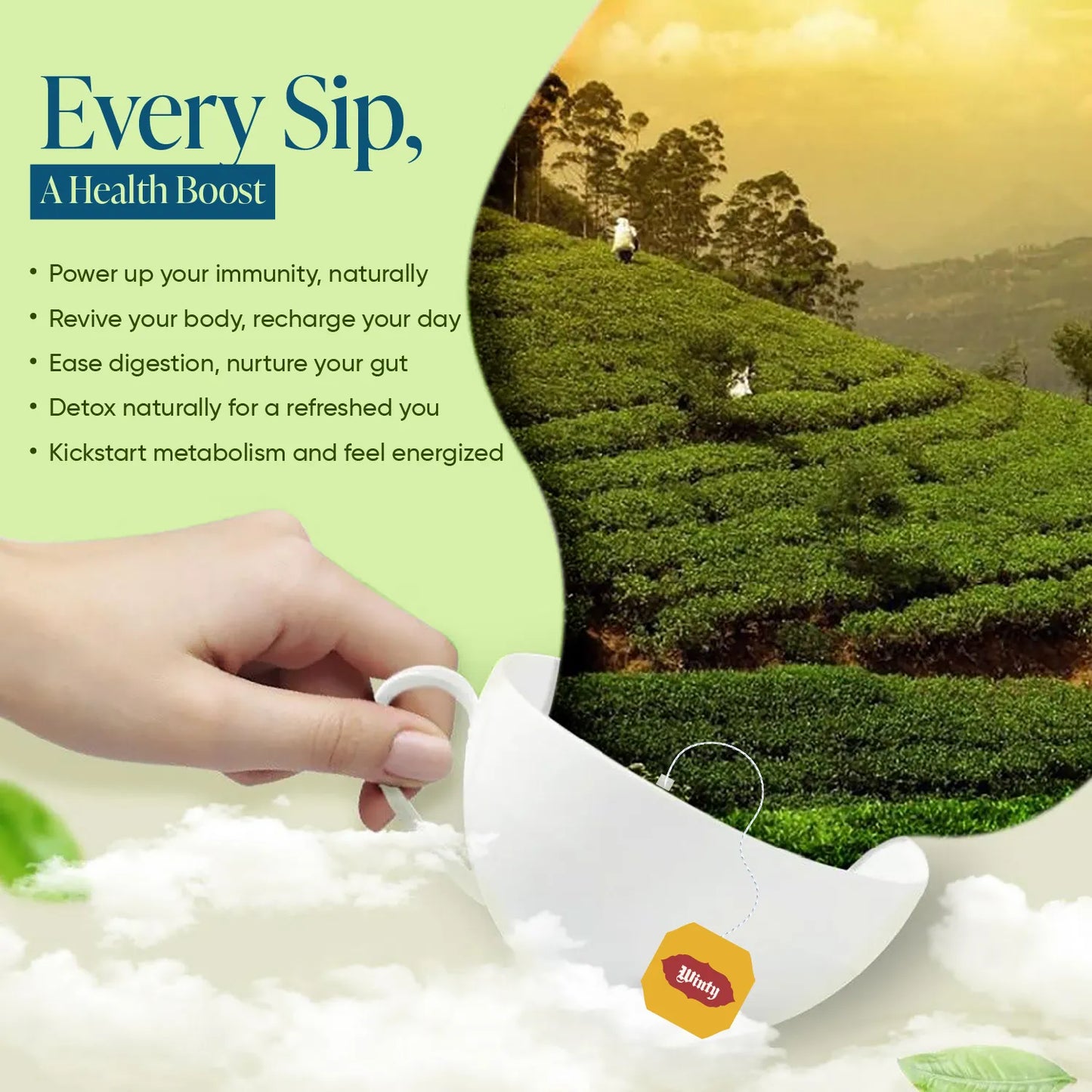 WINTY ELAICHI MATCHA GREEN TEA 30 Bags