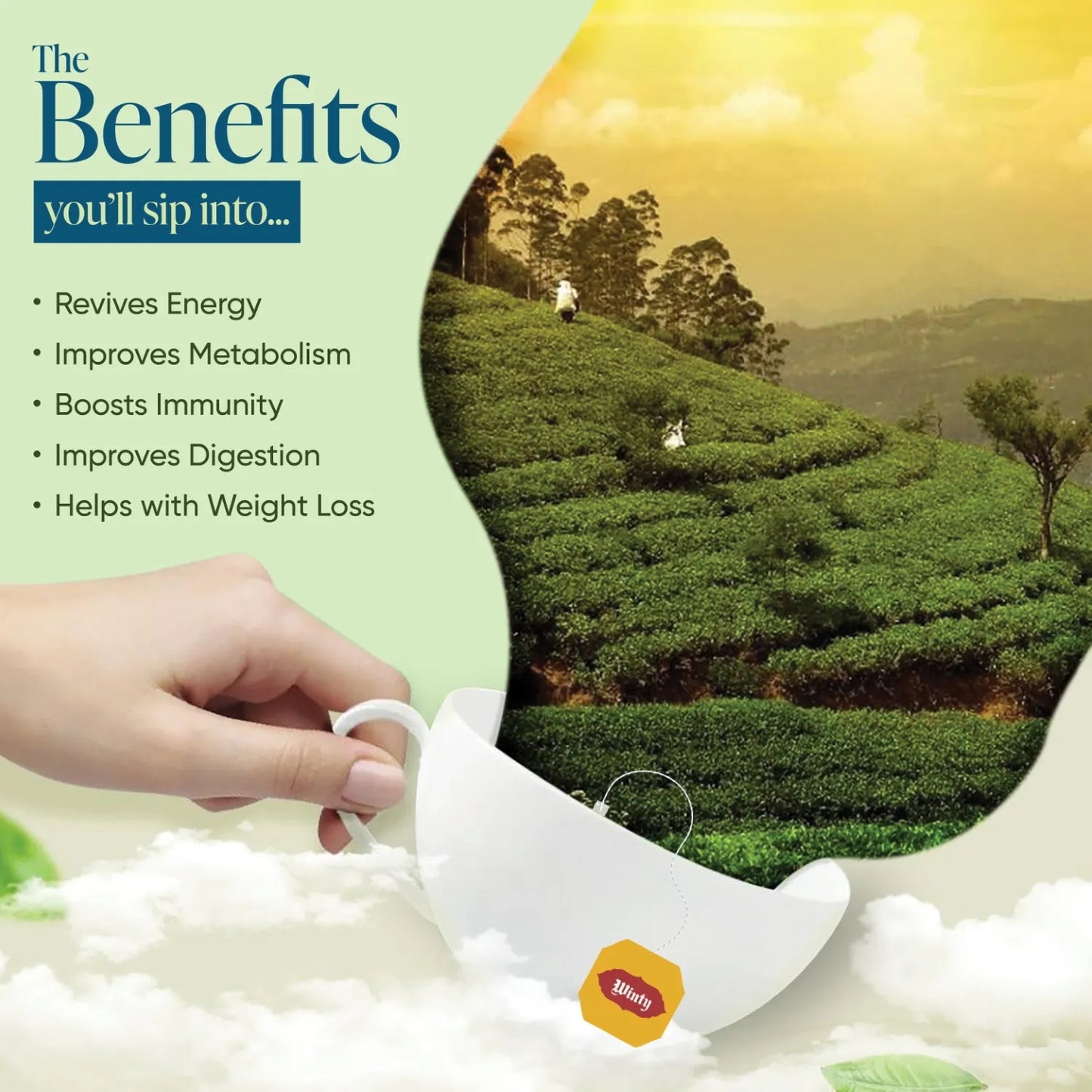 WINTY EXQUISITE LEMON GREEN TEA 30 Bags