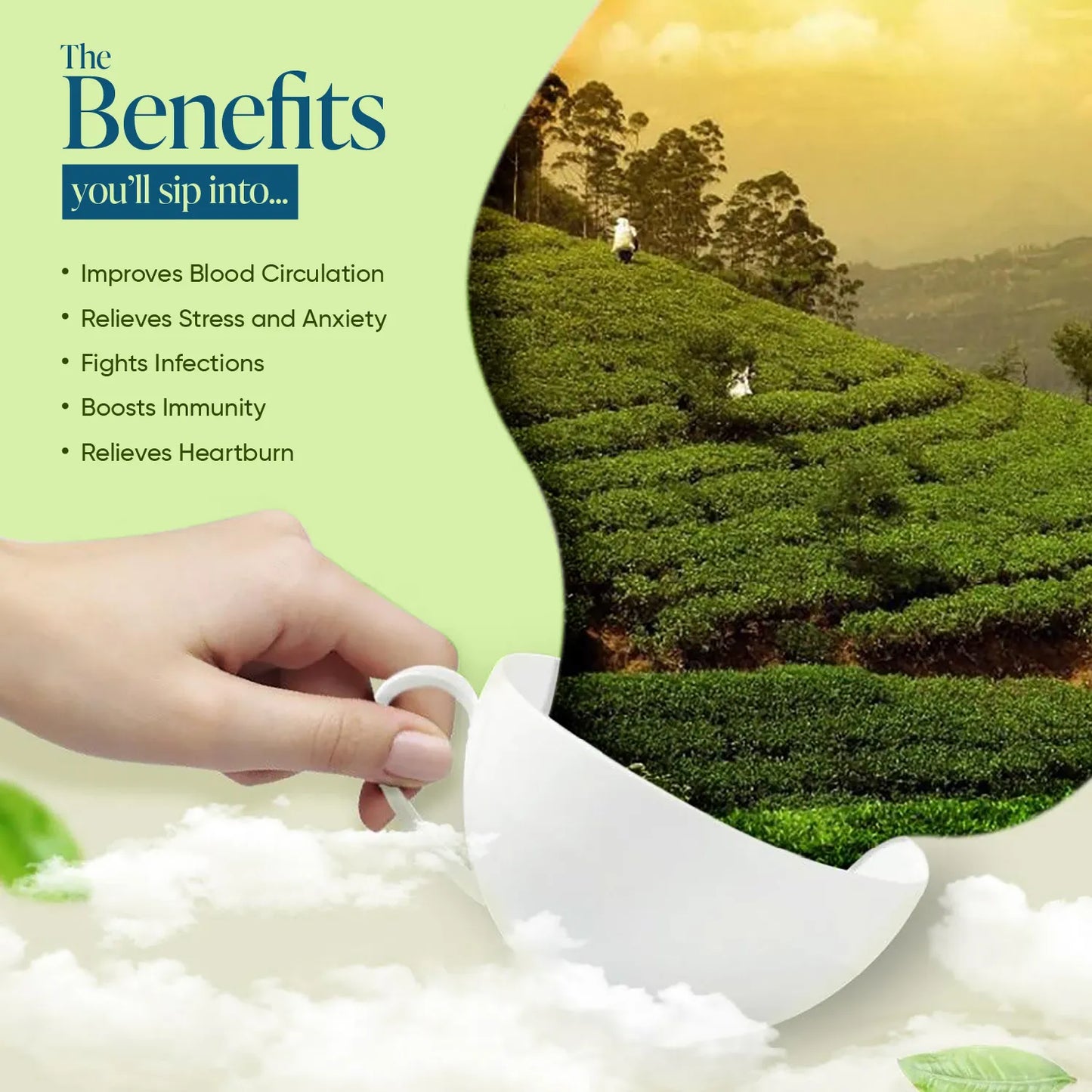 WINTY GINGER WITH LEMON GRASS GREEN TEA 30 Bags