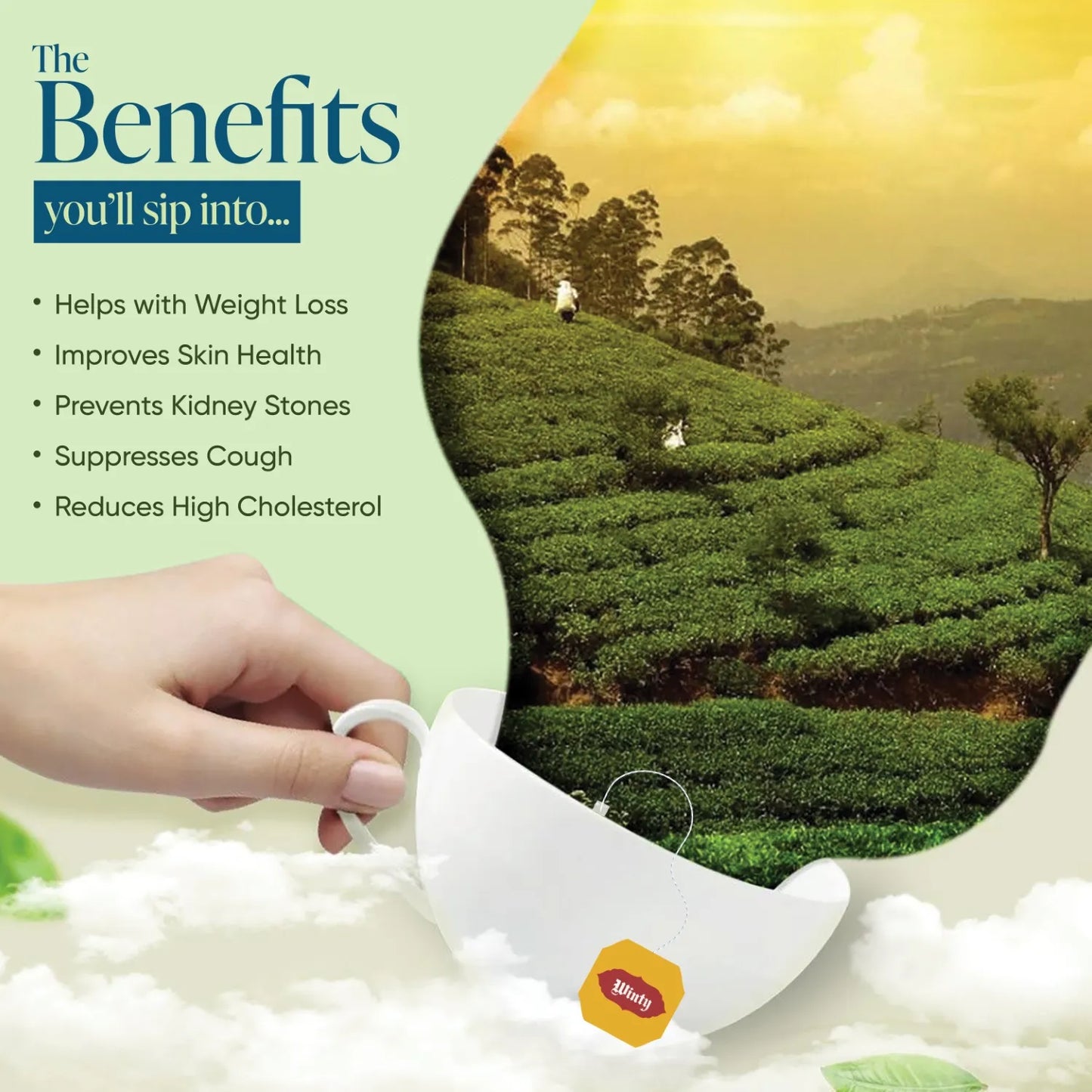 WINTY LEMON & HONEY GREEN TEA 30 Bags